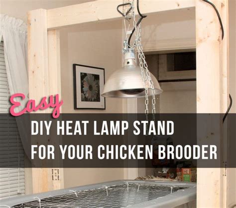 Chicken Brooder Light With Easy Diy Heat Lamp Stand For Your Chicken