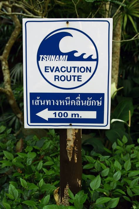 Tsunami | warning signs along the shoreline and in the deep ocean. 20 best Sample 2 - Warning Signs images on Pinterest ...