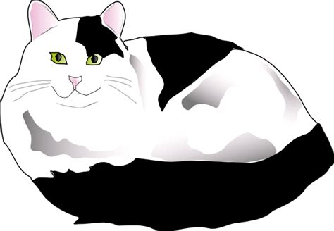 Black cat silhouette on a white background. Missiridia Black And White Fluffy Cat Clip Art at Clker ...