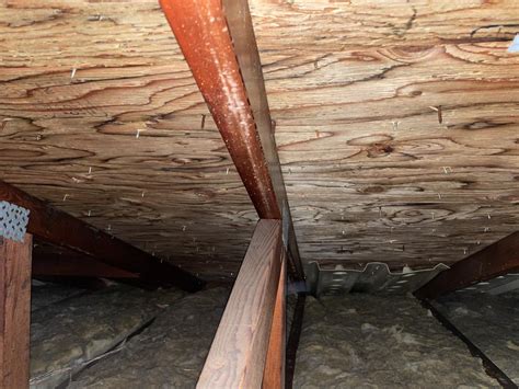 Mold Removal Attic Mold Removal Livonia Attic After Completed