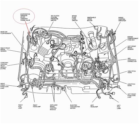 Ford Evap Canister Purge Valve