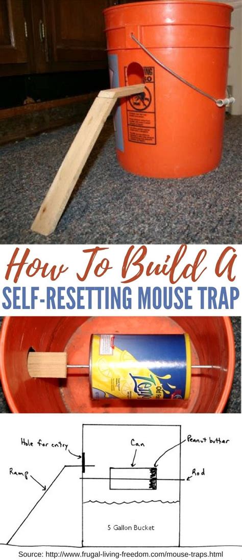 Bucket mouse traps | five gallon ideas. How To Build A Self-Resetting Mouse Trap ...