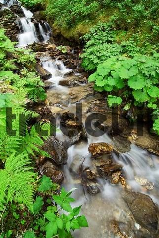 This is creek vs river valley by patrick bernasconi on vimeo, the home for high quality videos and the people who love them. river brook stream - Download Nature