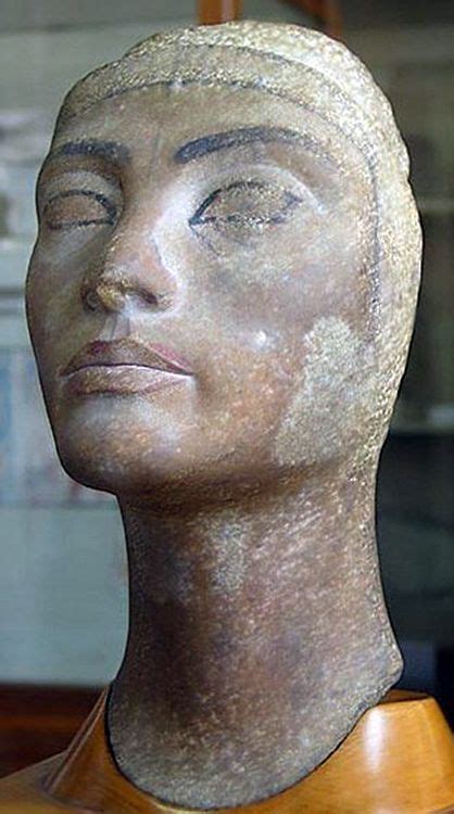 bust of nefertiti at the cairo museum ancient egyptian artifacts egyptian pharaohs ancient