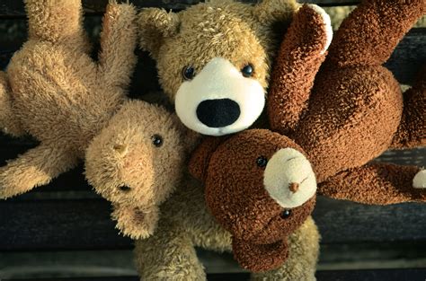 Please do not only post pets, otherwise it would be too easy. Free Images : group, fluffy, mammal, friendship, teddy ...