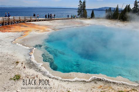 West Thumb Geyser Basin In Yellowstone National Park Lovebugs And