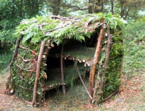 Survivalist Constructs And Sleeps In Over 100 Diy Survival Shelters