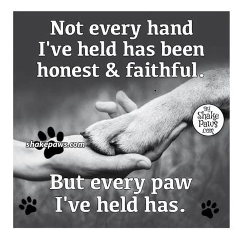 Dog Lover Quotes Dog Quotes Love True Quotes Dog Lovers Rescue