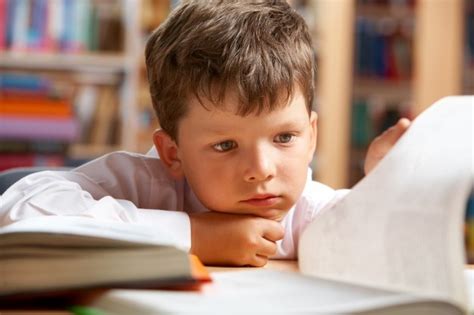 Close Up Of Little Boy Reading A Book Photo Free Download