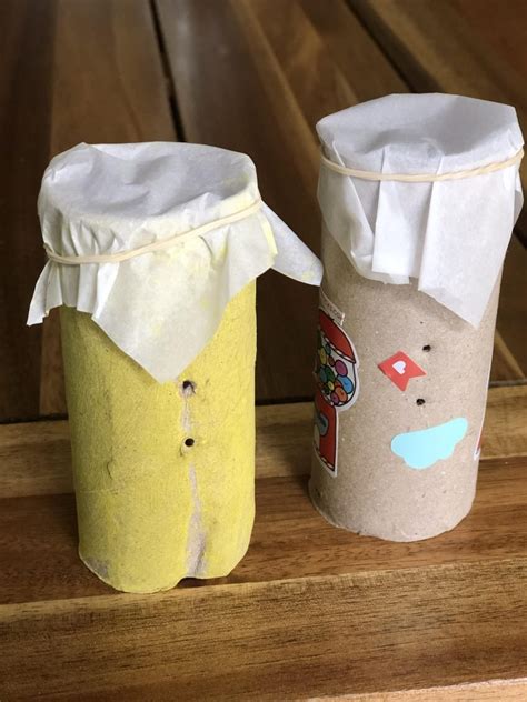 Toilet Paper Roll Musical Instrument Craft All Natural And Good Crafts