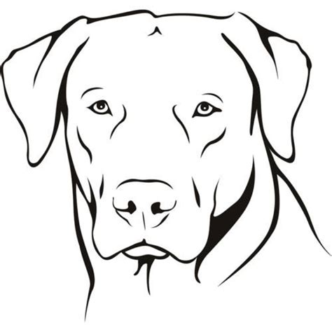 Labrador Portrait Dogs Animals Wall Decal Art Stickers Wall Decal