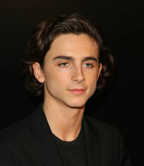 Timothée chalamet began his acting career in short films, before appearing in the television drama series homeland. Timothee Chalamet to donate salary from Woody Allen movie ...