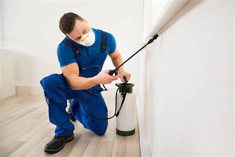 Some infestations, like those associated with rodents and baits, are best cleaned with. Dubai Clean - Best Appartment Cleaning Company In Dubai ...