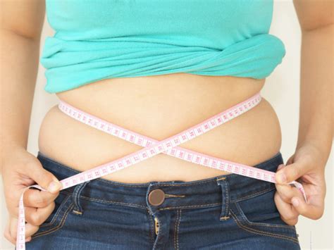 Abdominal Fat During Menopause Metagenics Institute