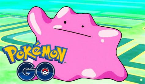 Guide To Catch Ditto In Pokemon Go 2023 Gameinstants