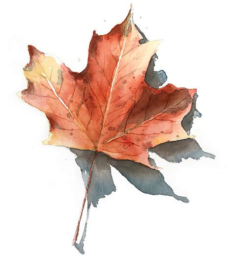 Finished Realistic Watercolor Fall Leaf Watercolor Autumn Leaves