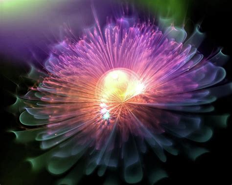 Magical Flower 4 Digital Art By Lilia D Fine Art America