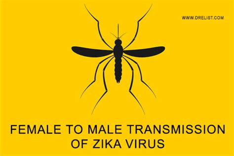 Female To Male Transmission Of Zika Virus By Dr Elist