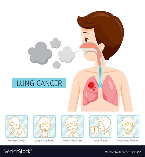 Man With Lung Cancer Diagram And Symptoms Icons Vector Image