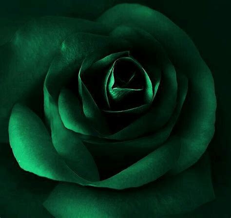 Pin By Kymber Sabato On Colors Dark Green Aesthetic Slytherin