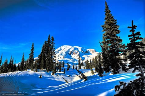 Descarca Imagini De Fundal Copaci Iarnă Munte Peisaj Imagini De