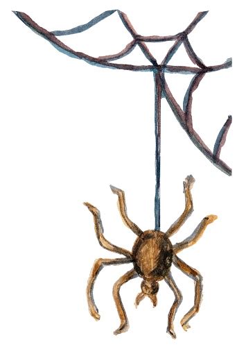 Scary Poisonous Spider Is Hanging On The Web Stock Illustration
