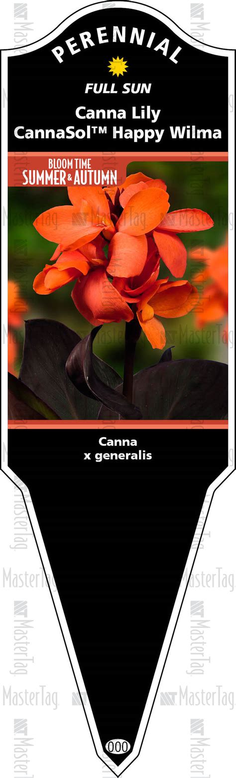 Canna Lily Cannasol Happy Wilma Gardeners Xl Improved Stake Tag