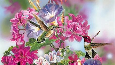 🔥 48 Hummingbird Screensavers And Wallpaper Wallpapersafari