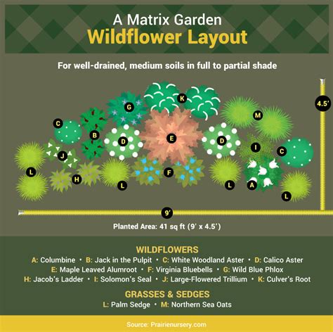 Guide To Matrix Planting