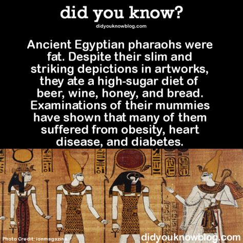 Ancient Egypt Pharaohs Facts