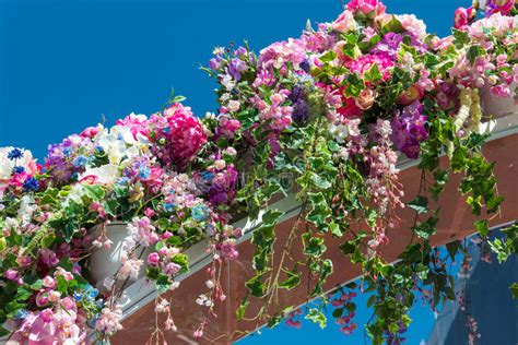 Beautiful Flower Arch Stock Images Download 13612