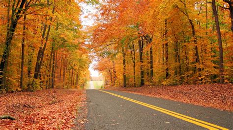 21 Best Places To See Fall Foliage In The United States Travel Leisure