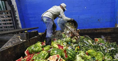 Así Lucha El País Contra El Desperdicio De Alimentos