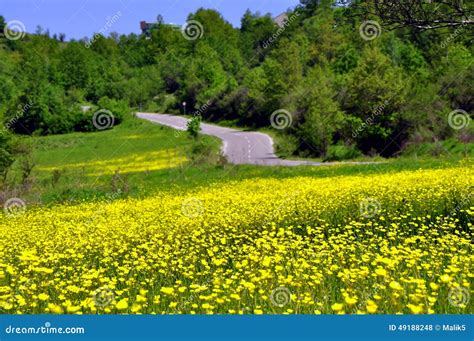 Spring Landscape Stock Photo Image Of Road Tree Destination 49188248
