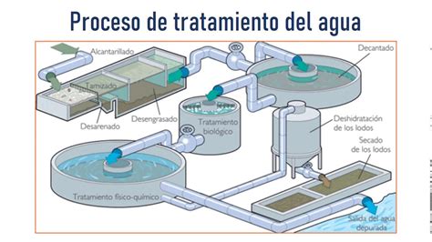 Vendedor Cebolla Comienzo Desengrasado De Aguas Residuales Mar Mensajero Subjetivo