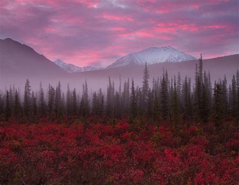 Fall Colors And Sunrise By Adria Photography