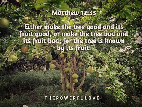 He tries to convince jesus by explaining his credentials as a schol. Pin on Quotes