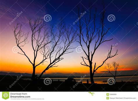 Twilight View Stock Image Image Of Evening Tree