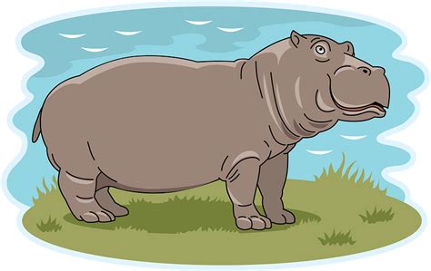 Free Download Hippopotamus Clipart Transparent Background Hippopotamus