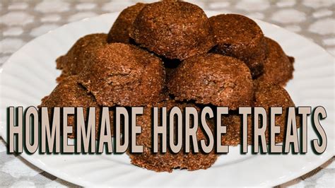How To Make Your Own Soft Horse Treats Budget Equestrian Diy Youtube