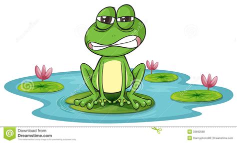 A Frog And A Water Stock Vector Illustration Of Llustration 33692588