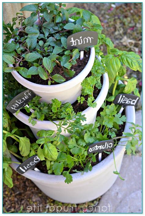 Awesome Ideas For Herb Garden Containers Home Improvement