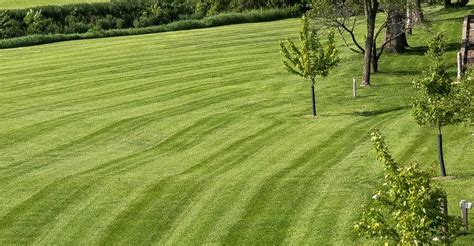 Lawn Care Fertilization And Mowing Services In Midland Michigan