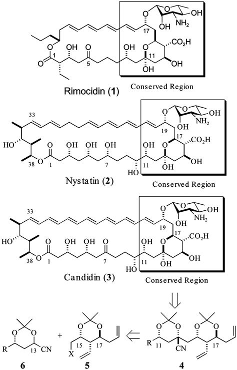 A Unified Approach To Polyene Macrolides Synthesis Of Candidin And