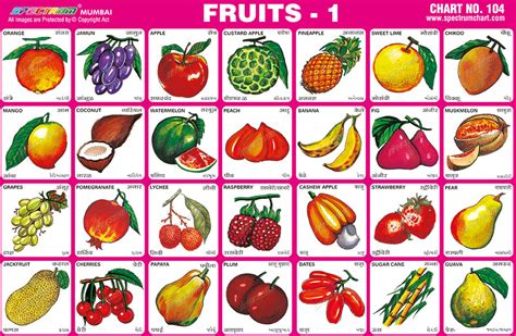 Spectrum Educational Charts Chart 104 Fruits 1