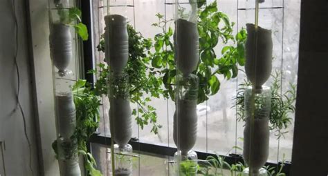19 Diy Hydroponic Plans You Can Easily Set Up