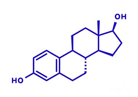 Estradiol Female Sex Hormone Molecule Photograph By Molekuulscience