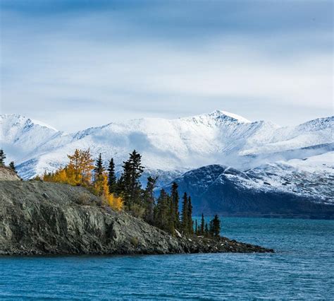 Kluane National Park and Reserve (Haines Junction) - 2021 All You Need 