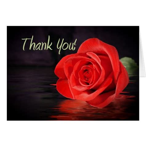 Red Rose Thank You Greeting Cards Zazzle