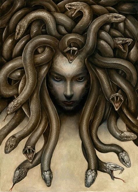 Pin De Cesar Sanchez En Beautifully Unquiet Arte De Medusas Mitolog A Corona Dibujo